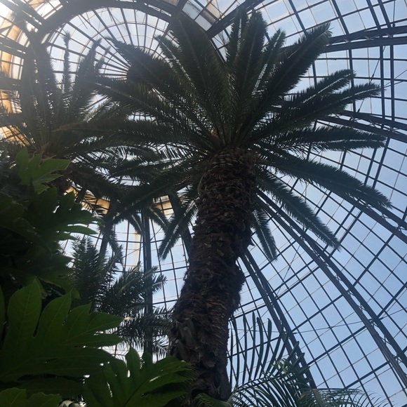 Meet your Posher, Haley - Picture 1 of 1